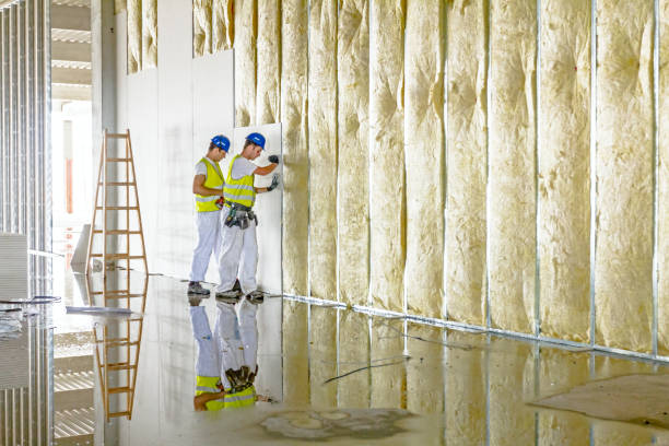 Best Commercial Insulation in Sunrise, FL